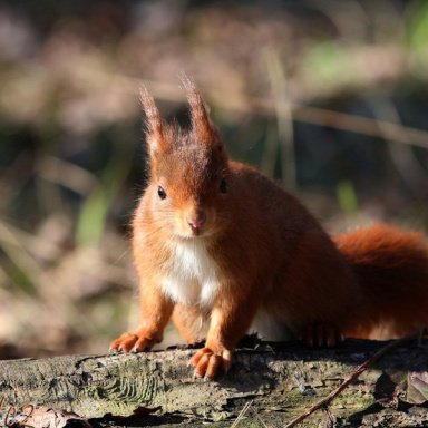 Зефирное вдохновение. Времена года Зима (Анна Тверитнева)