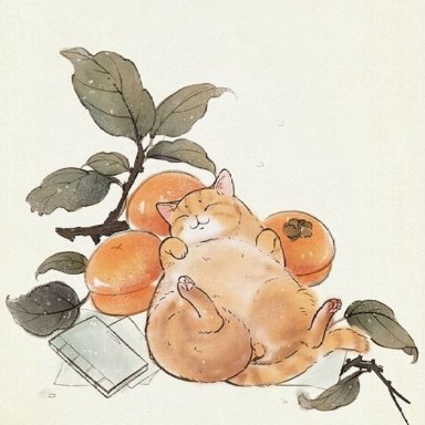 Курс китайского «Boya Chinese». Полный курс (Ли Сяоци)