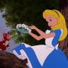 Alice716