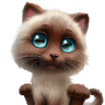 nbshka
