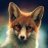 fox7