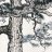 pine